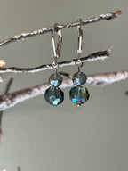 Blue-Green Crystal Dangle Earrings